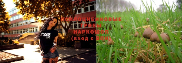 соль ск Балахна
